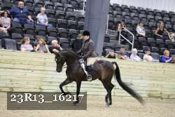 23R13_16217 proof