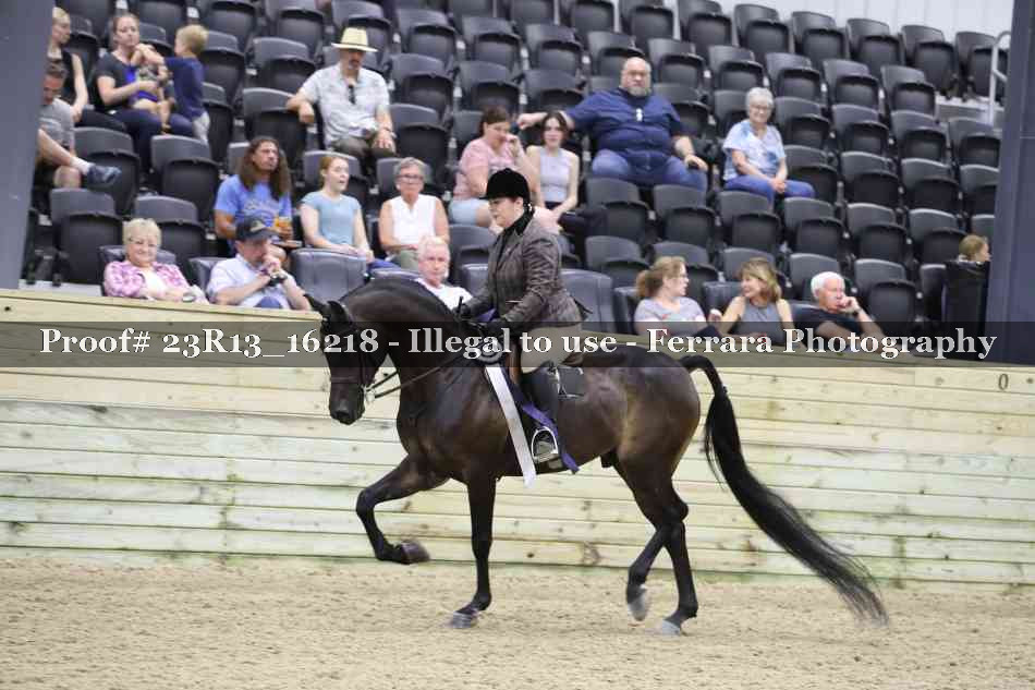 Proof 23R13_16218