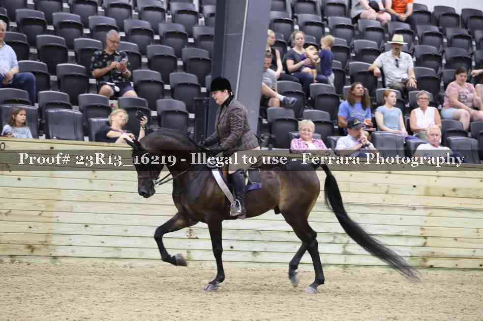 Proof 23R13_16219
