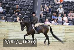 23R13_16219 proof