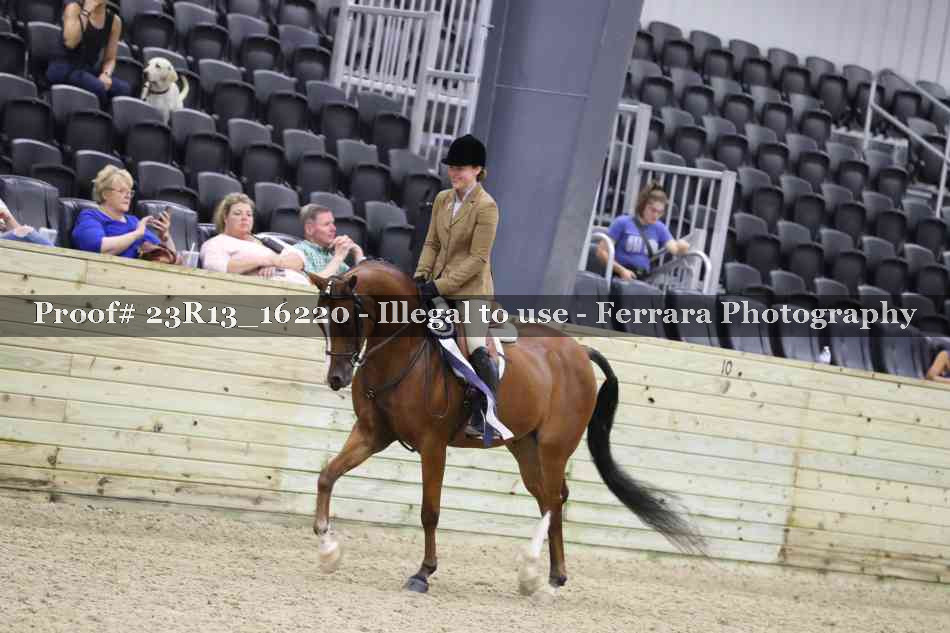 Proof 23R13_16220
