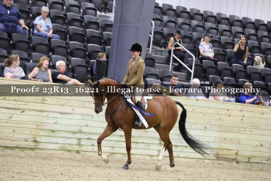 Proof 23R13_16221