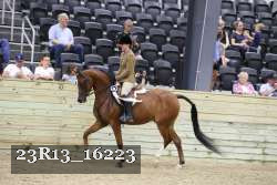 23R13_16223 proof