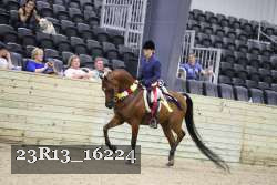 23R13_16224 proof
