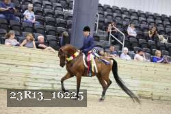 23R13_16225 proof