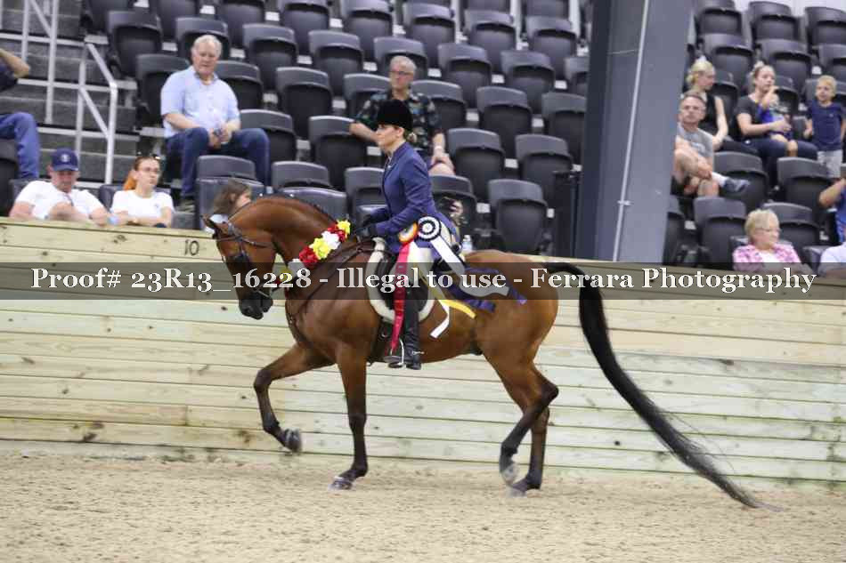 Proof 23R13_16228