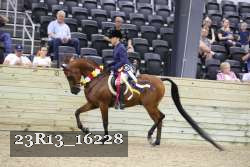 23R13_16228 proof