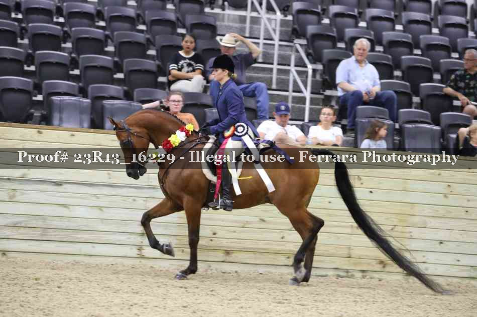 Proof 23R13_16229