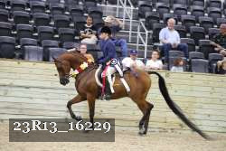 23R13_16229 proof