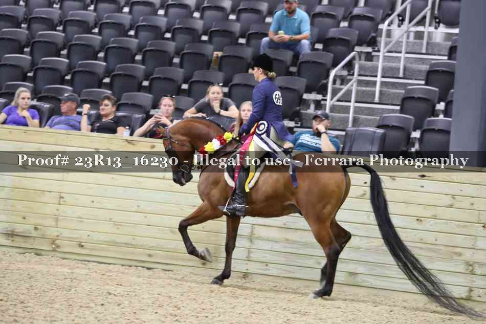 Proof 23R13_16230