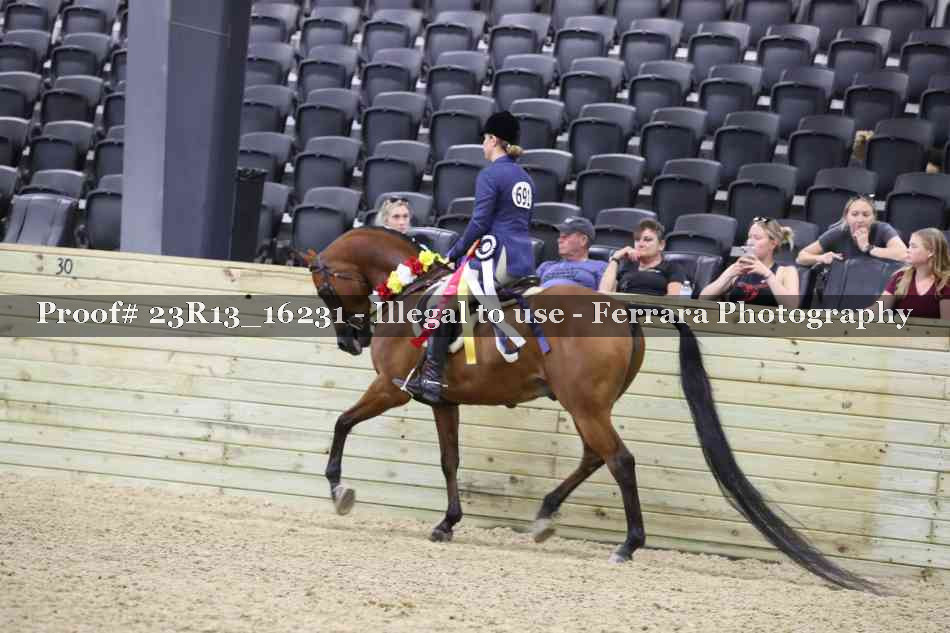 Proof 23R13_16231