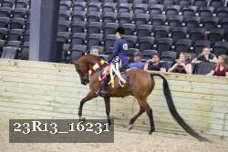 23R13_16231 proof