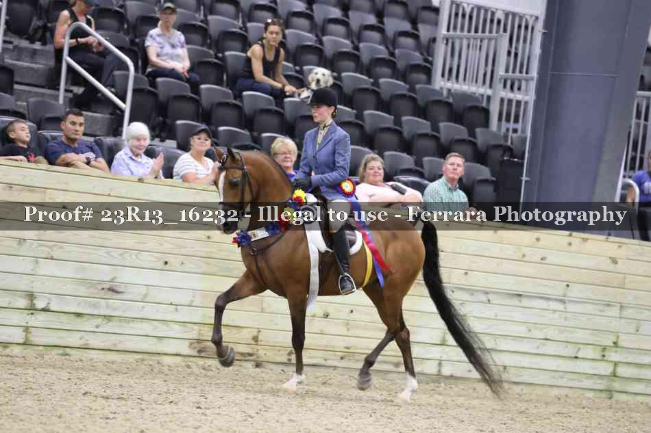 Proof 23R13_16232