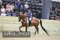 23R13_16233 proof