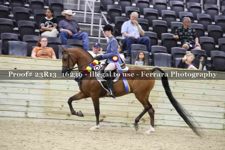 Proof 23R13_16236