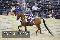 23R13_16236 proof