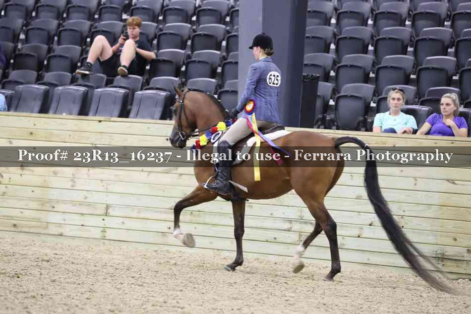 Proof 23R13_16237
