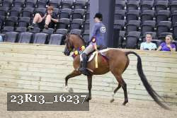 23R13_16237 proof