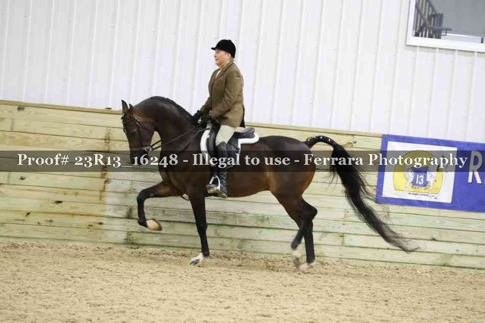 Proof 23R13_16248