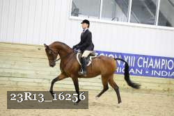 23R13_16256 proof