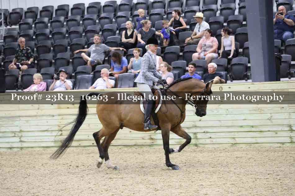 Proof 23R13_16263