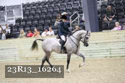 23R13_16264 proof