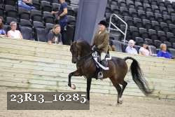 23R13_16285 proof
