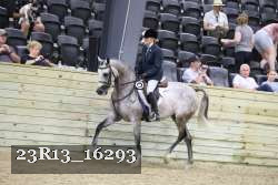 23R13_16293 proof