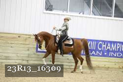 23R13_16309 proof