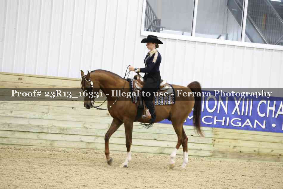 Proof 23R13_16331