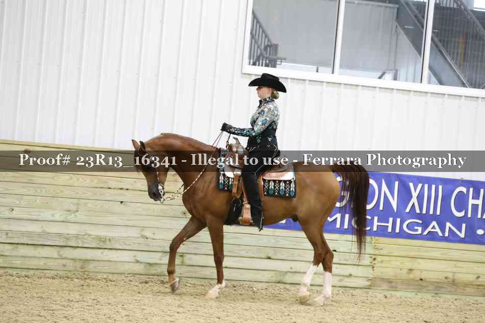 Proof 23R13_16341