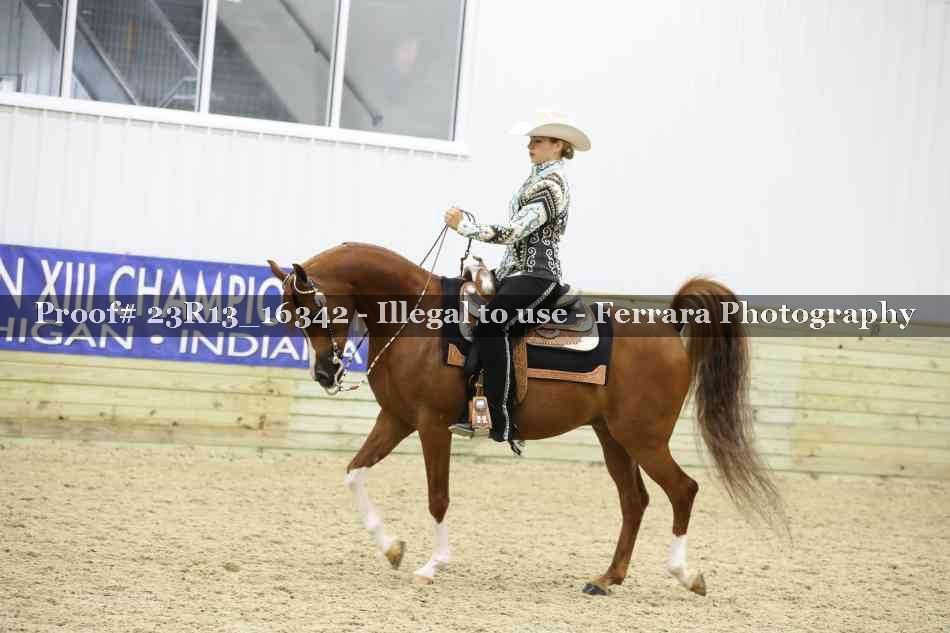 Proof 23R13_16342