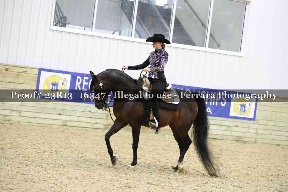 Proof 23R13_16347