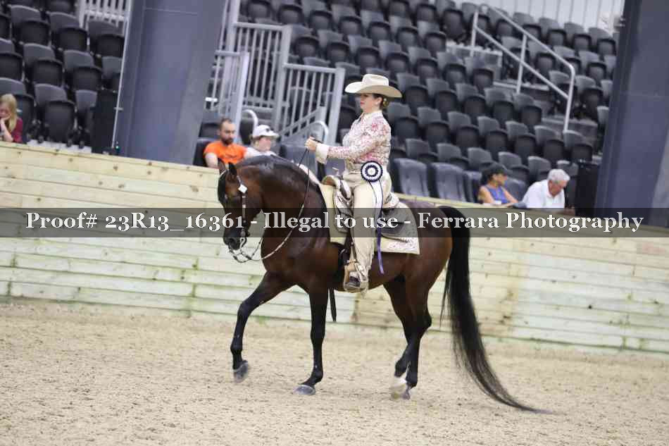 Proof 23R13_16361