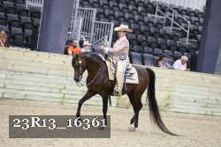 23R13_16361 proof