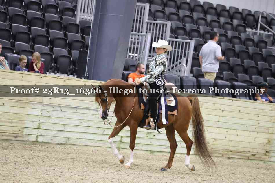 Proof 23R13_16366