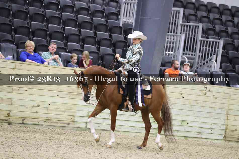 Proof 23R13_16367