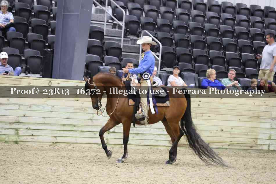 Proof 23R13_16372