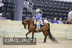 23R13_16372 proof
