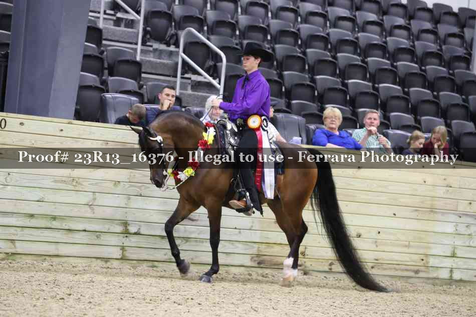 Proof 23R13_16376