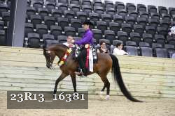 23R13_16381 proof