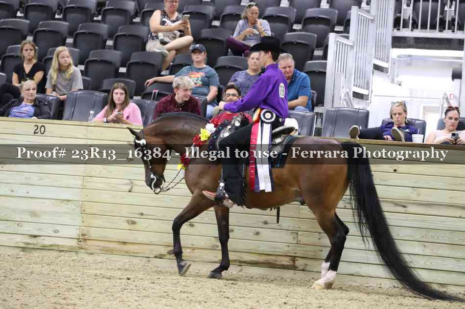 Proof 23R13_16384