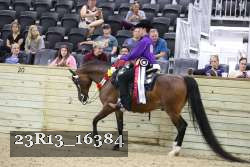23R13_16384 proof