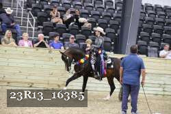 23R13_16385 proof