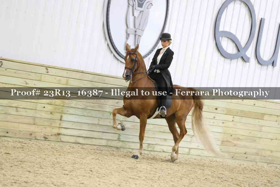 Proof 23R13_16387