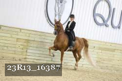 23R13_16387 proof