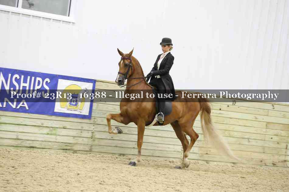 Proof 23R13_16388