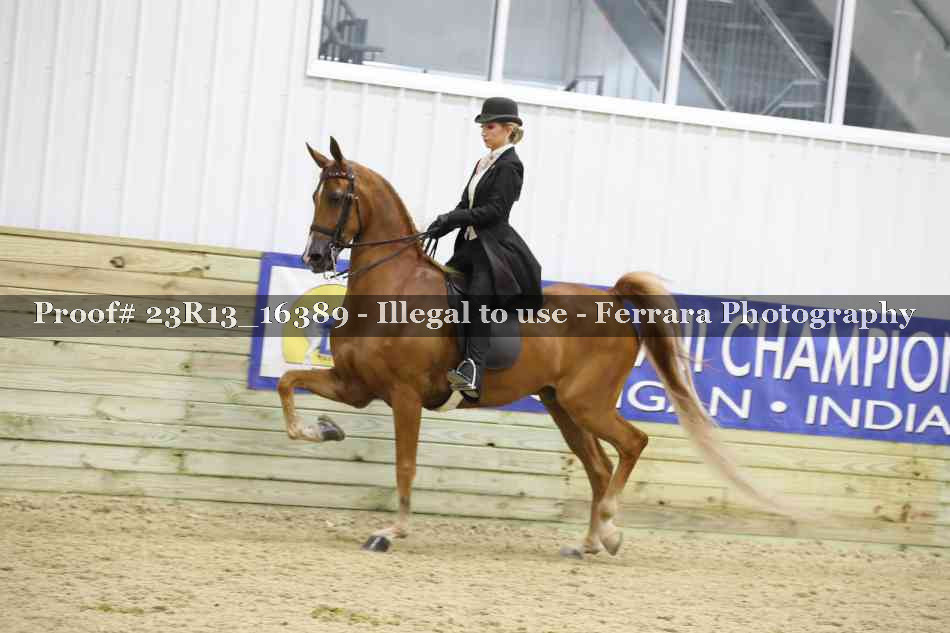 Proof 23R13_16389