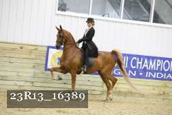 23R13_16389 proof