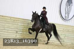 23R13_16390 proof